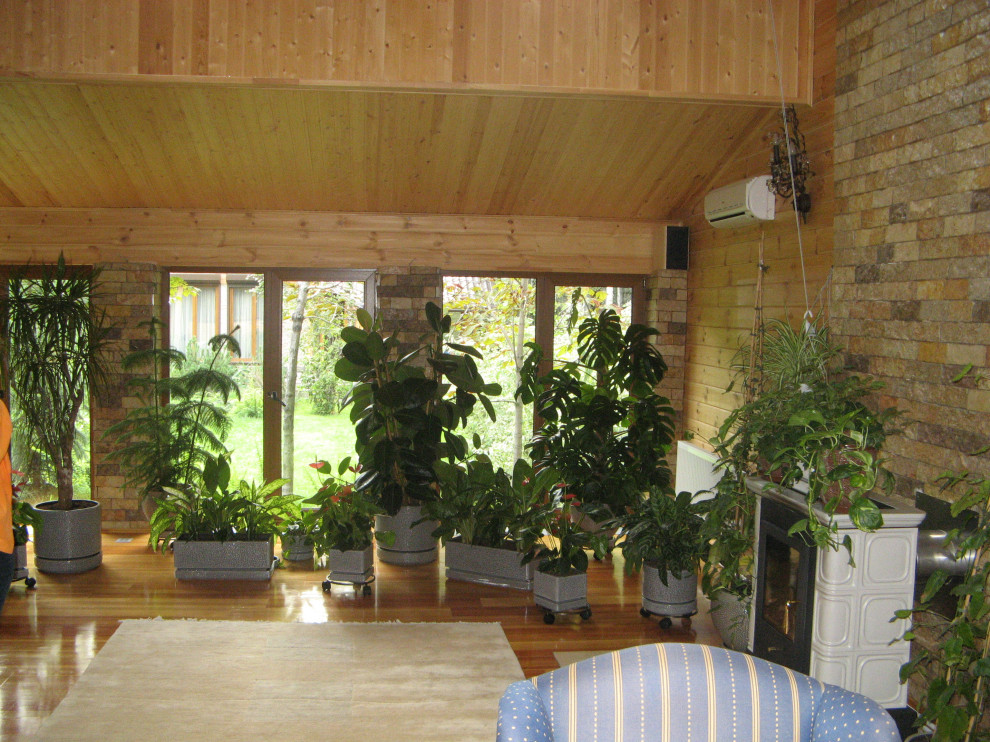 НИИ Радио. Зимний сад