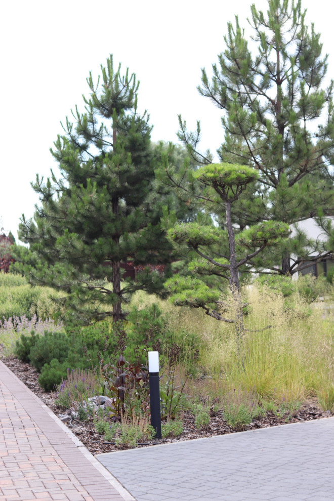 WB Парковая часть