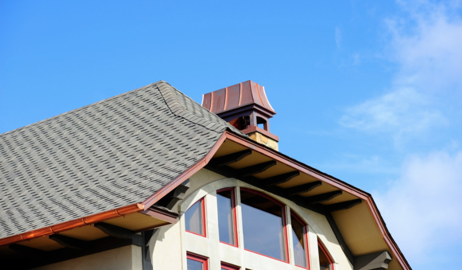 Example of a mountain style home design design in Minneapolis