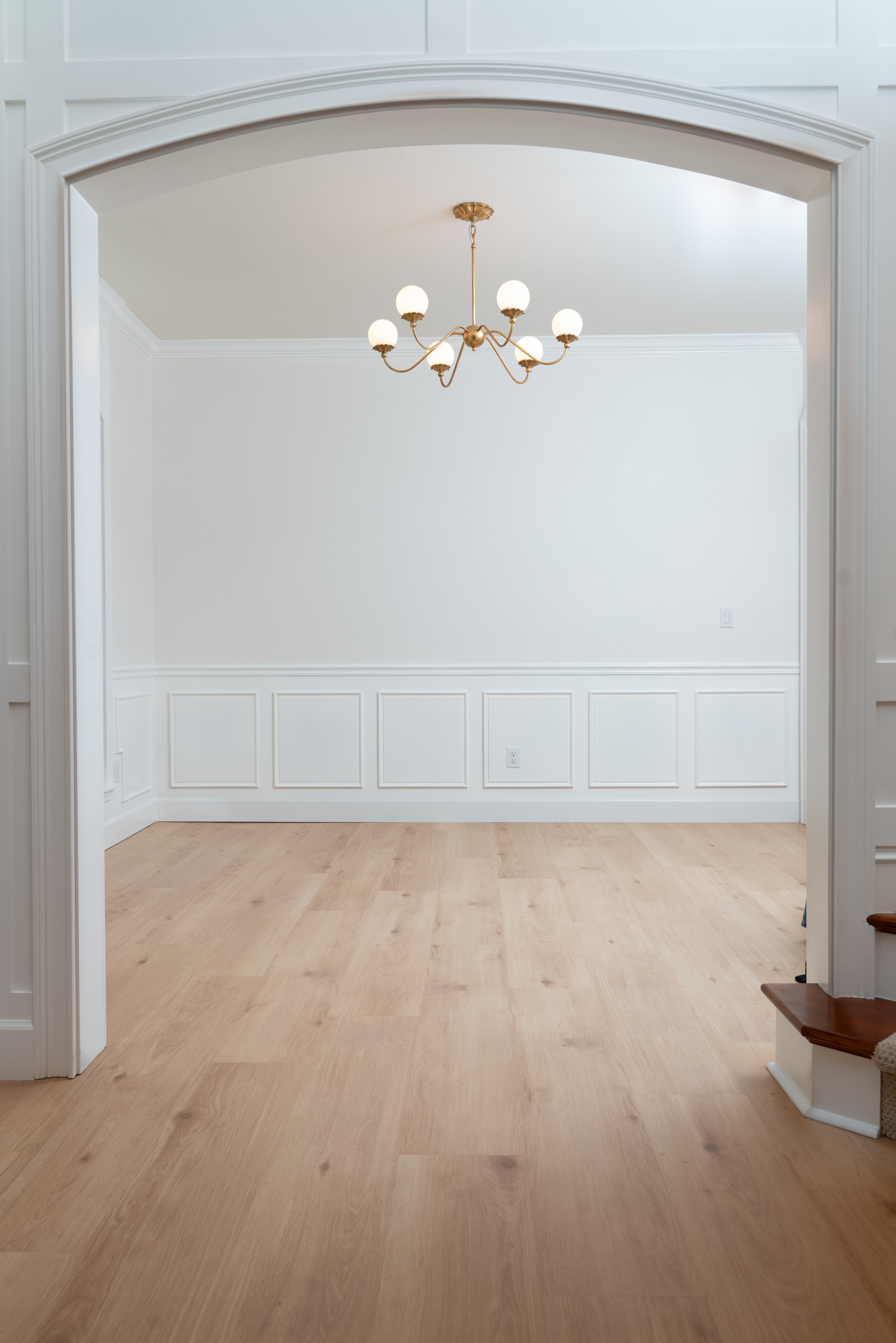 Whole House Remodel