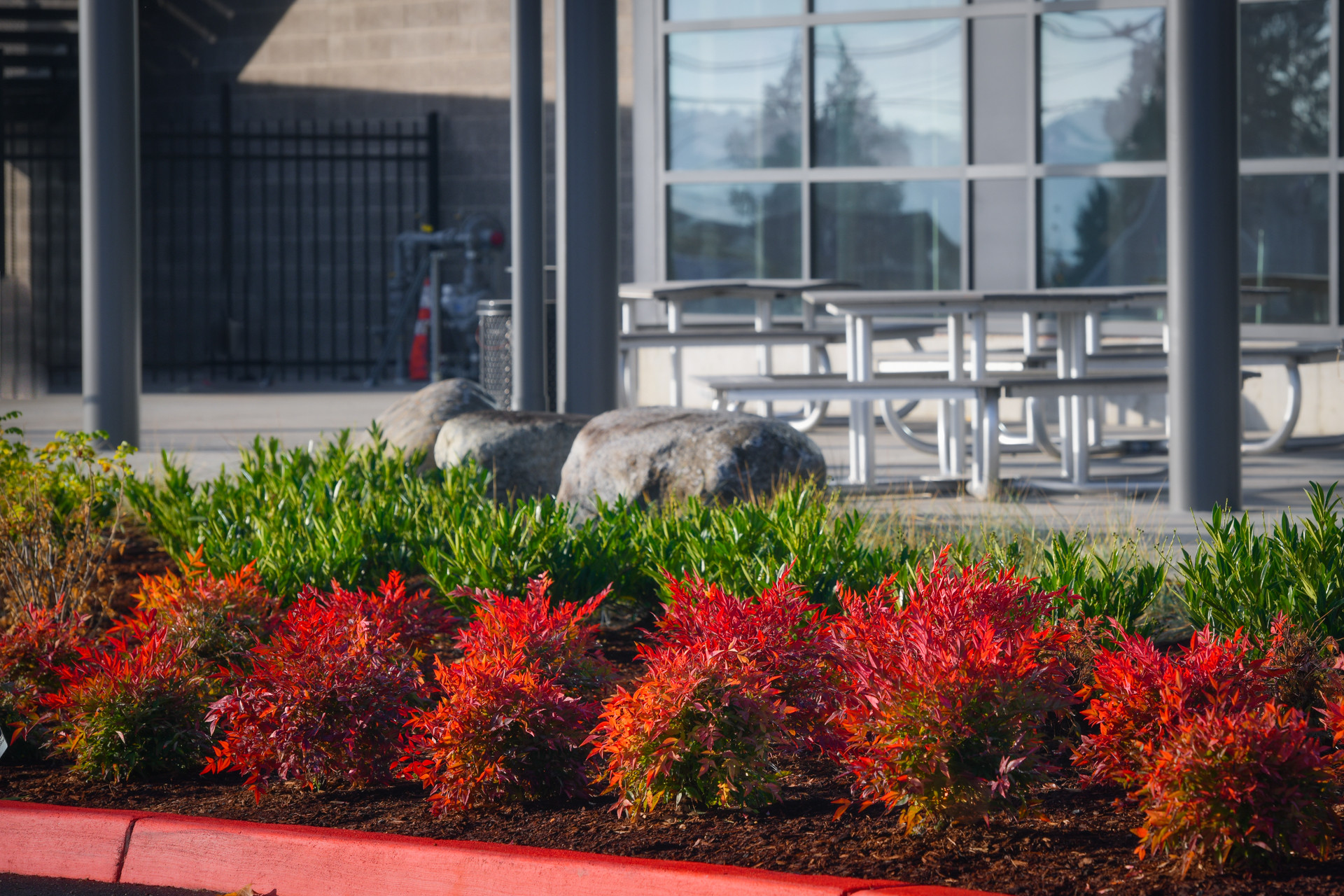 COMMERCIAL LANDSCAPE SERVICES