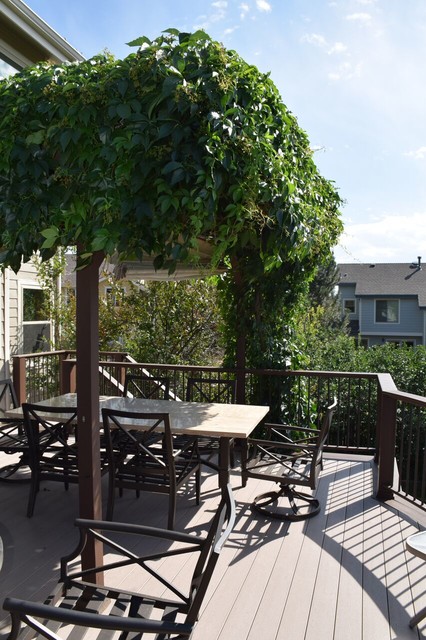 Chesapeake Radius Deck/Arbor klassisch-modern-terrasse