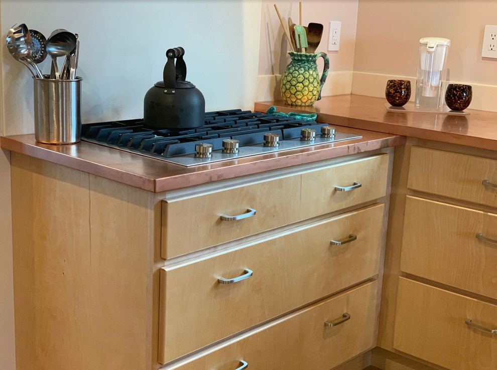Mid-sized midcentury l-shaped eat-in kitchen in Other with stainless steel appliances and no island.