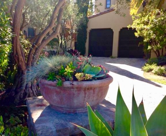Design ideas for a large traditional front yard partial sun xeriscape for summer in Orange County with natural stone pavers.