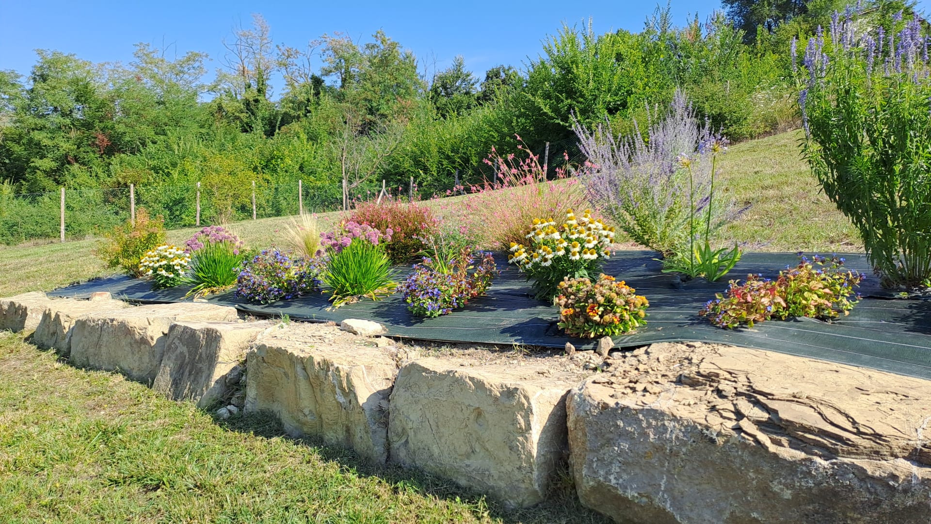 Giardino privato V.C.