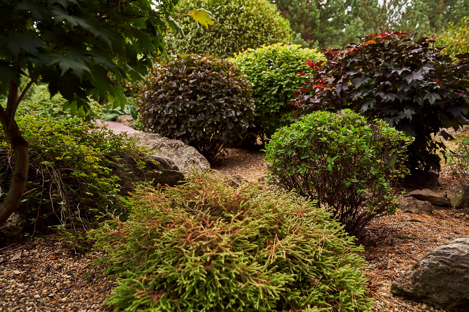 Японский садик "Живи,созерцая..."