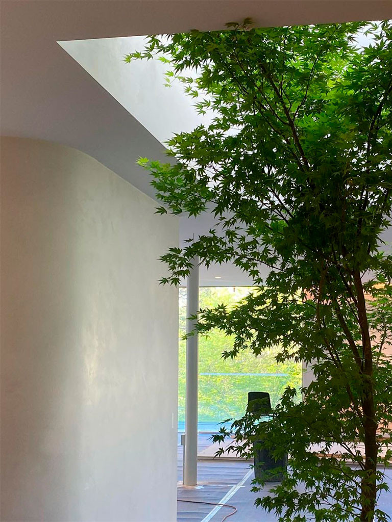 Матовое покрытие из декоративной штукатурки в белом цвете