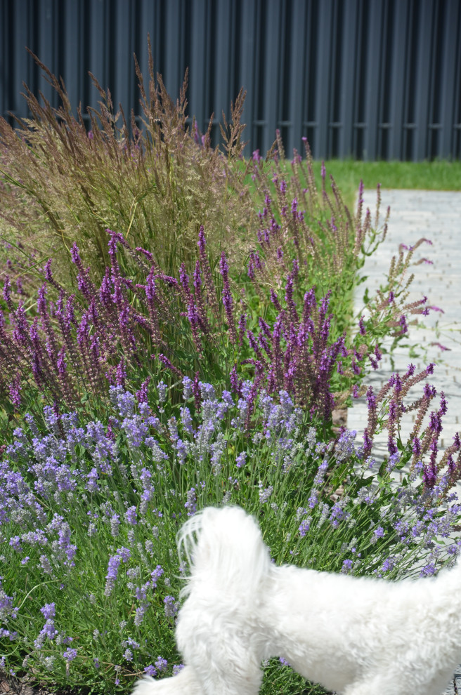 Мягкий и пушистый