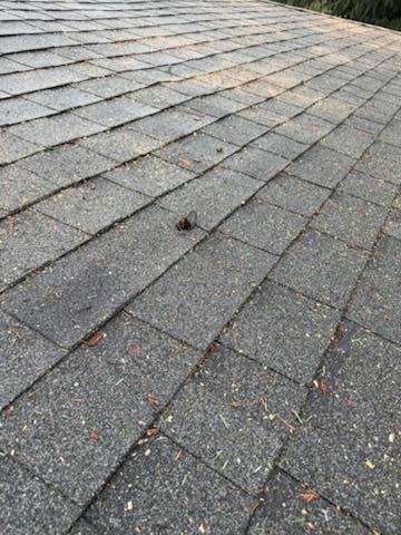 Roof Replacement