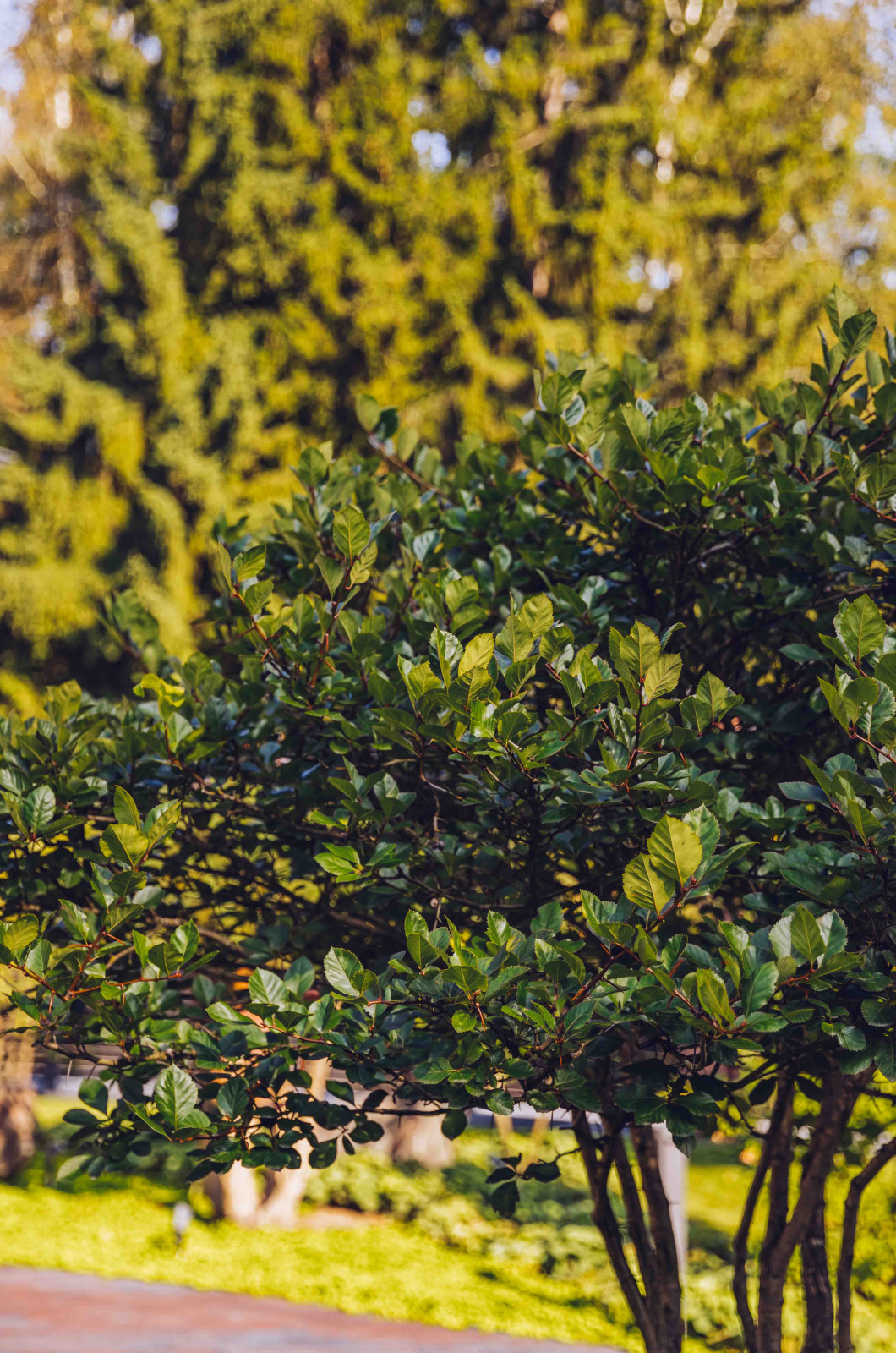 Архитектурное Решение в Пейзажном Стиле