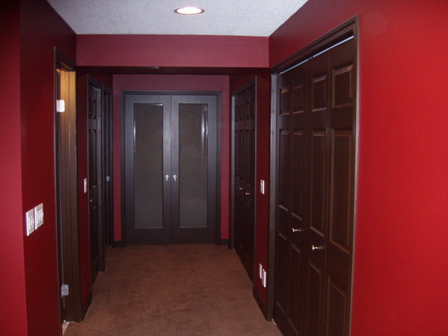 Basement Development transitional-basement