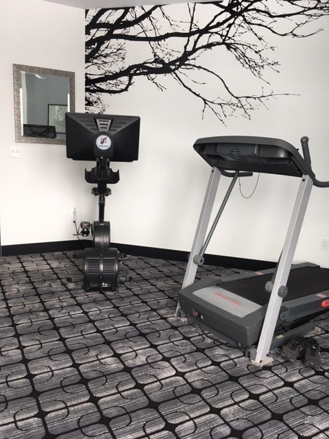Design ideas for a mid-sized contemporary multipurpose gym in Las Vegas with grey walls and carpet.