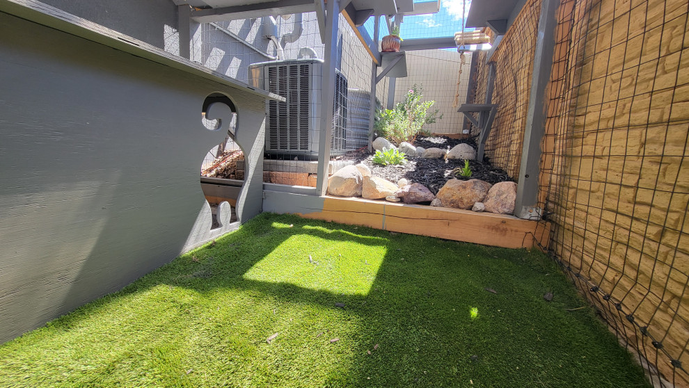 The Purr-fect Playground✨
