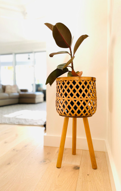 Hawthorne build coastal-living-room