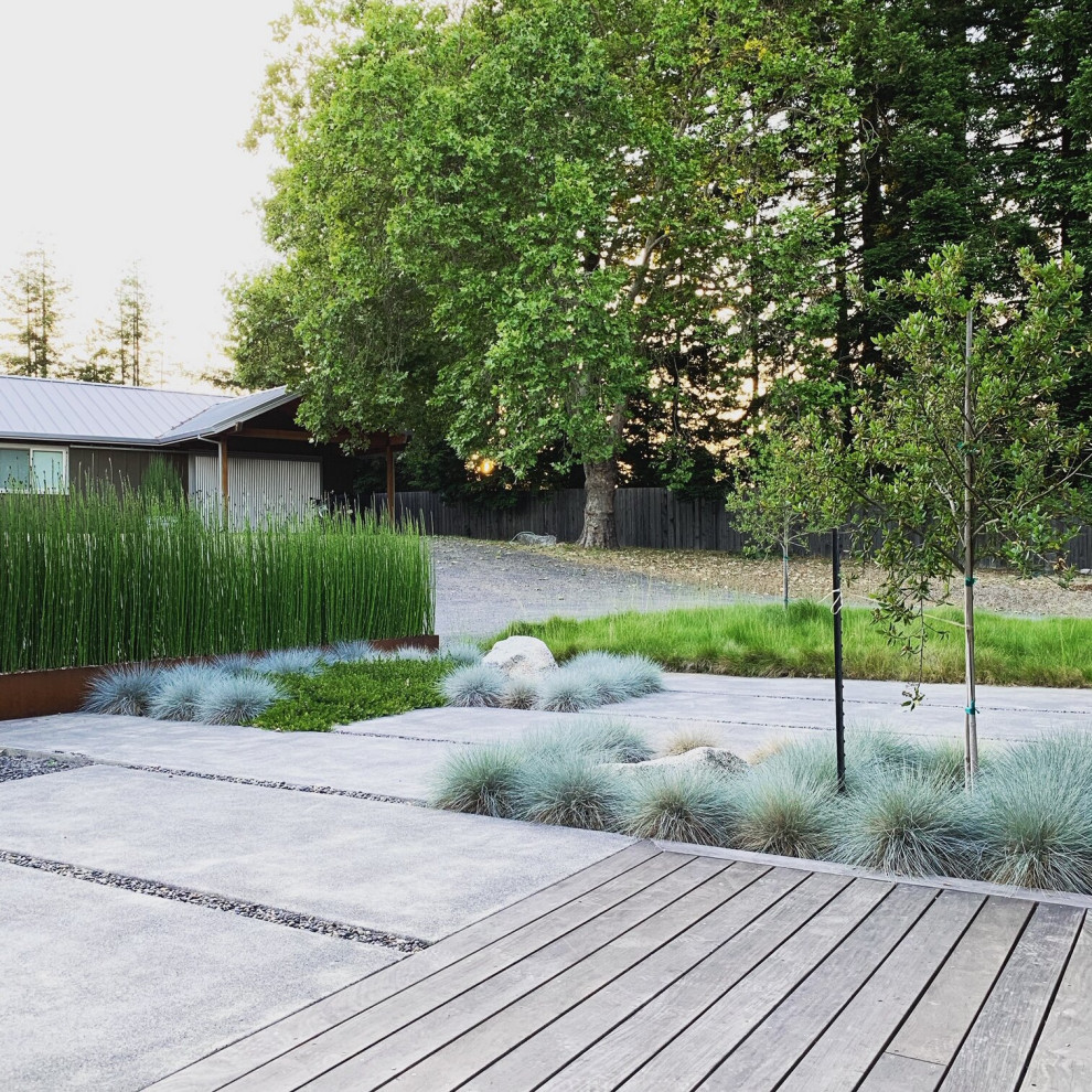 Immagine di un grande giardino xeriscape contemporaneo dietro casa con sassi e rocce e pavimentazioni in cemento