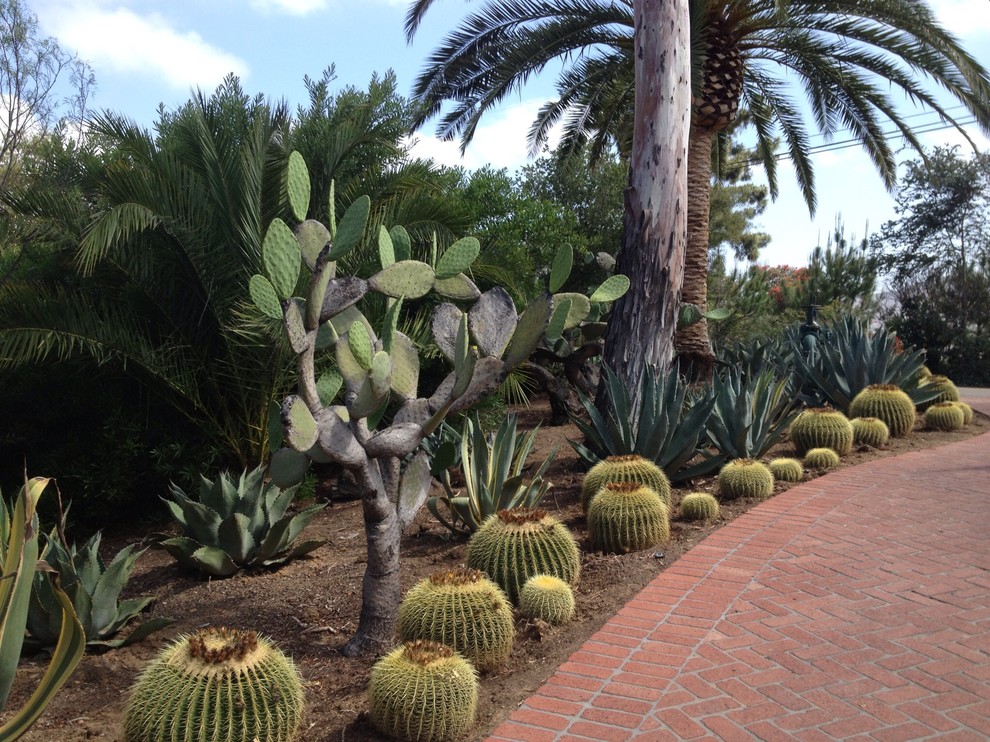 Inspiration for a garden in San Diego.