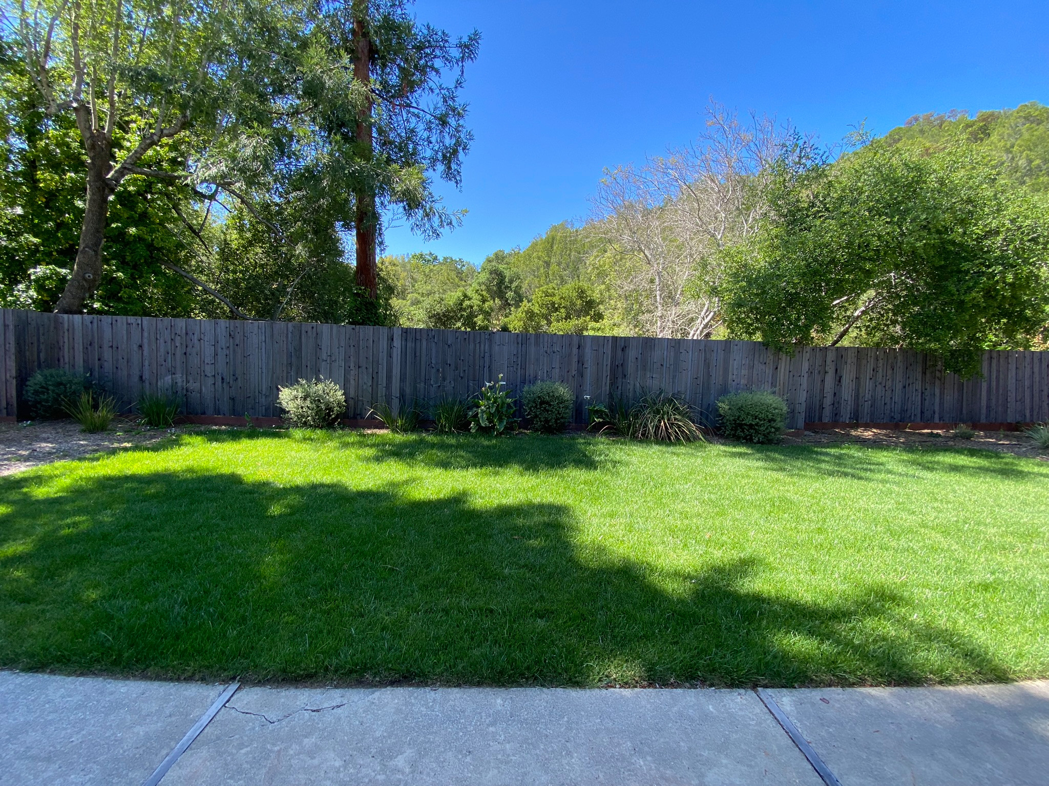 Contemporary Eichler Backyard Remodel