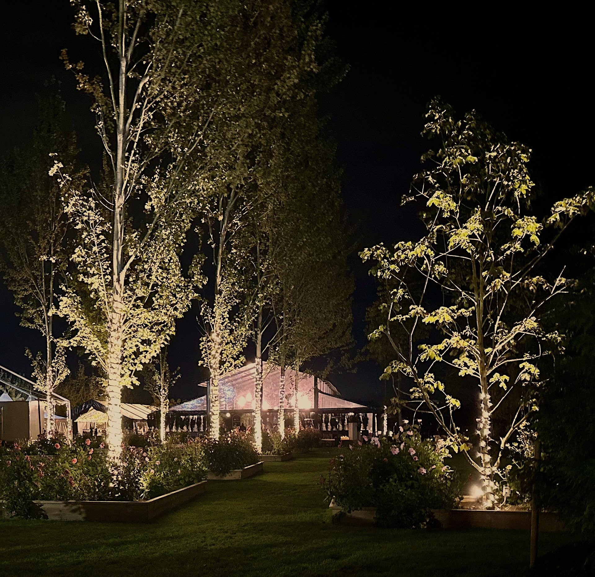 Athiana Acres:  An organic Regenerative Farm