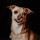 mindy_riesenberg