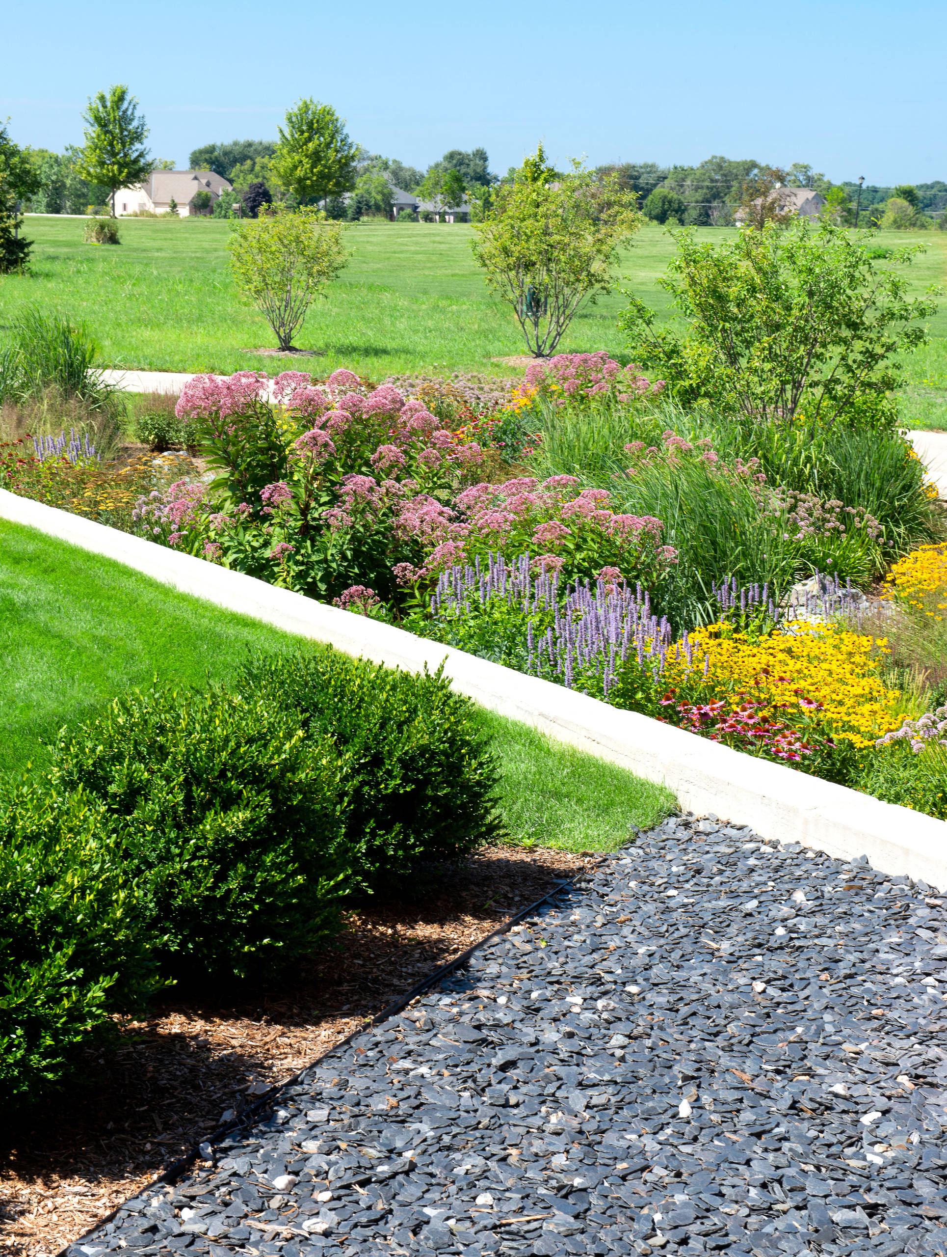 Contemporary New Home Landscape - Caledonia