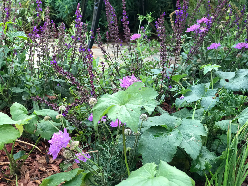 Cottage Garden "Secret Garden" Тайная комната