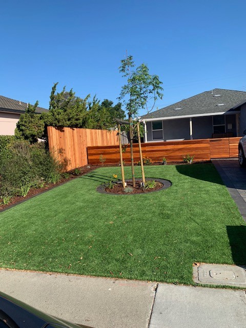 Redwood Fencing & Planter Boxes