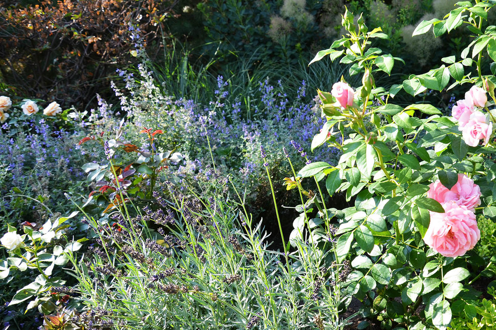 Современный сад в КП "Бенилюкс" вилла 2