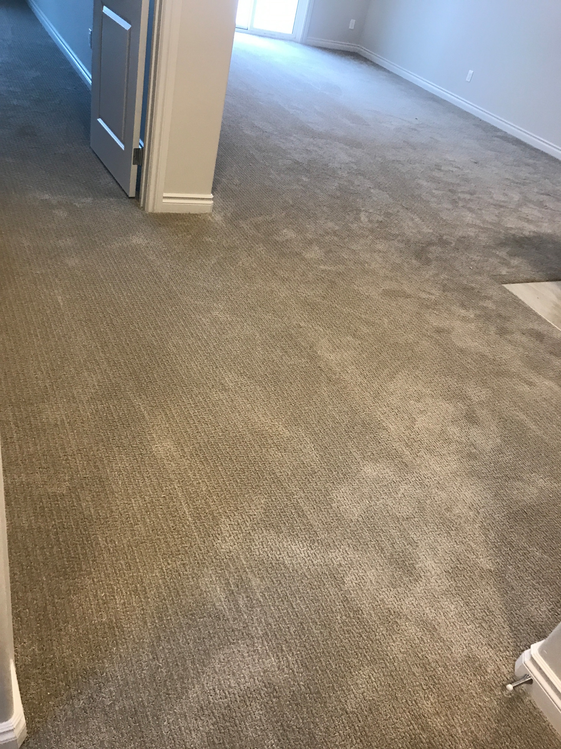Carpet