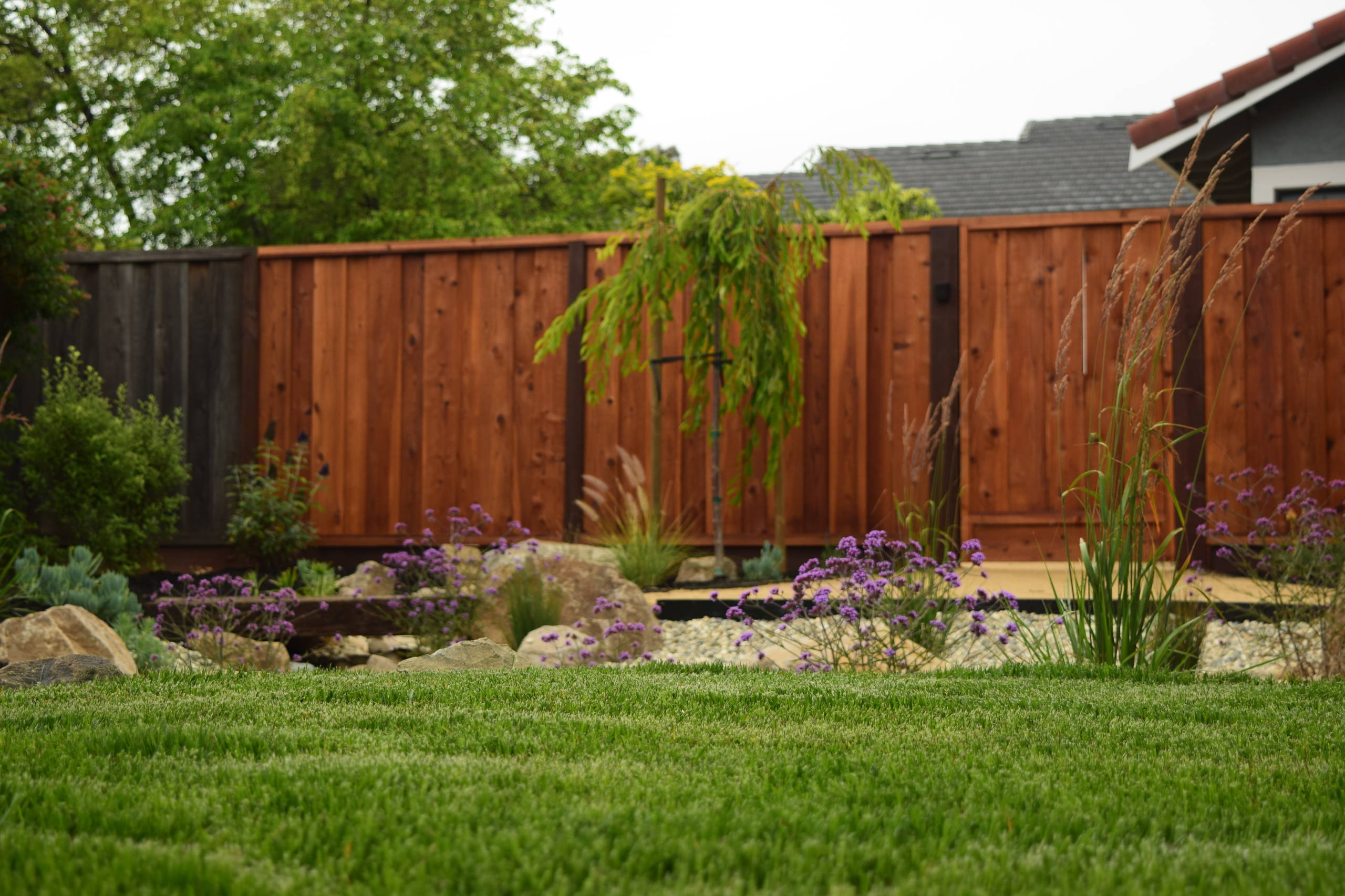 Fremont Residence