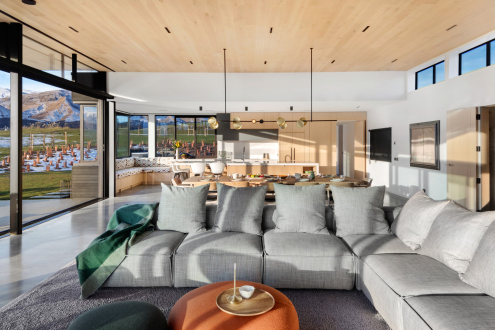 Design ideas for an Expansive modern Open Concept living room With White Walls, Concrete Floors, a Standard Fireplace, Grey Floor and Wood.