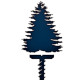 The Cobalt Pine Co