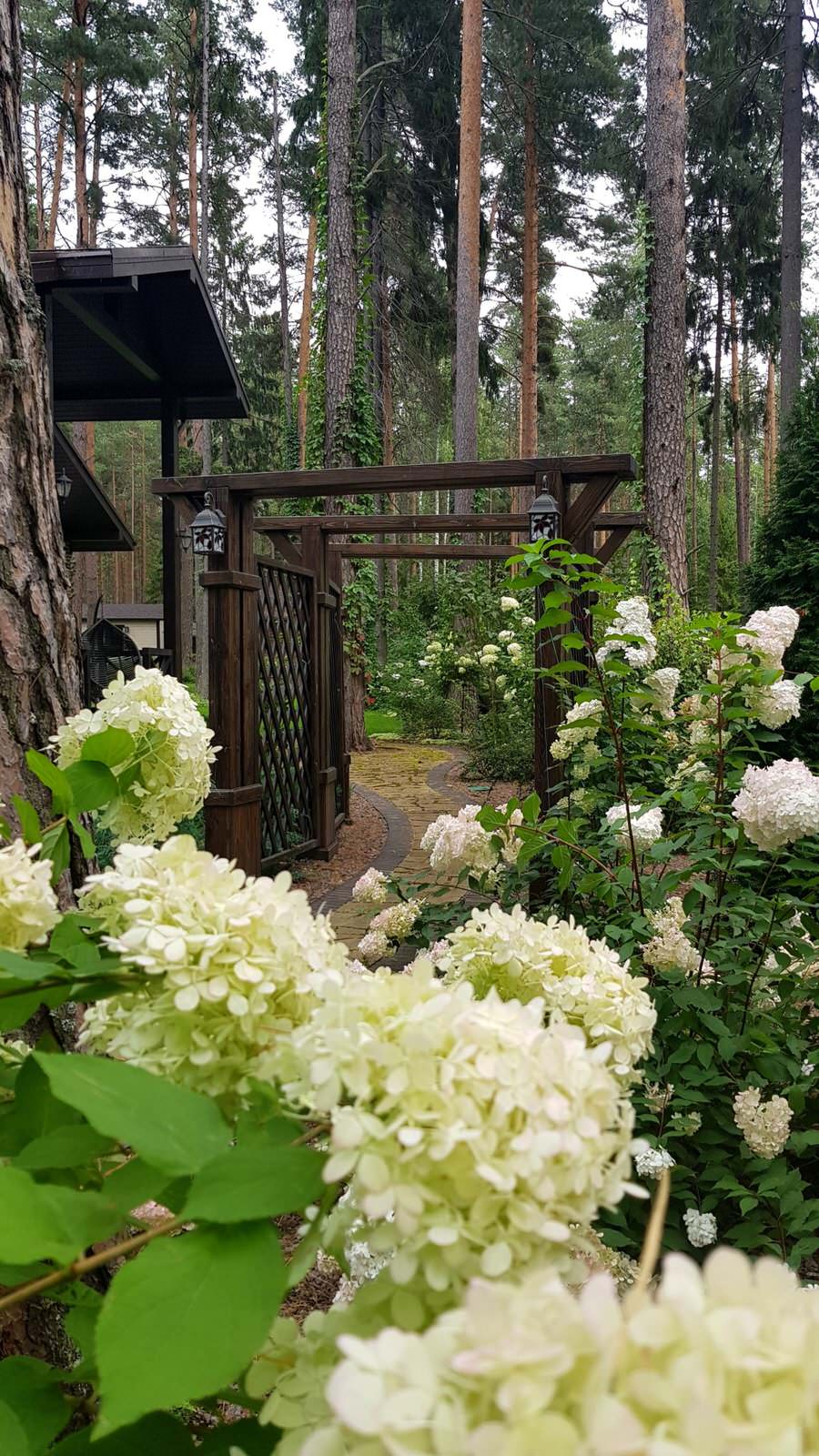 «Пряничный домик» в сосновом бору