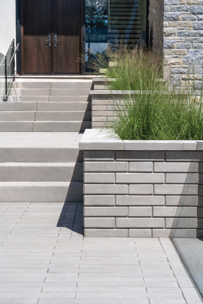 Esempio di un vialetto d'ingresso minimalista esposto in pieno sole di medie dimensioni e davanti casa con un muro di contenimento, pavimentazioni in cemento e recinzione in metallo