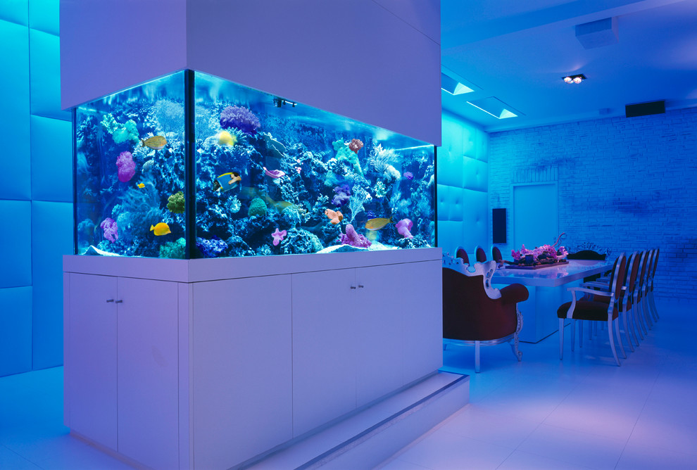 Custom Aquarium Gallery
