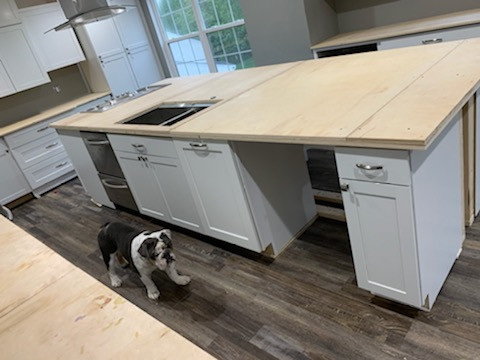 Inspiration for a mid-century modern kitchen remodel in DC Metro