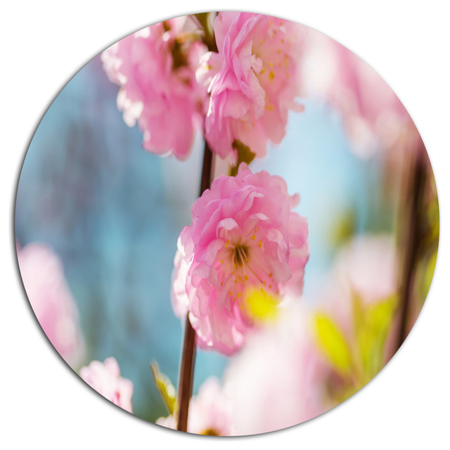 Designart Almond Tree Pink Flowers' Large Flower Metal Circle Wall