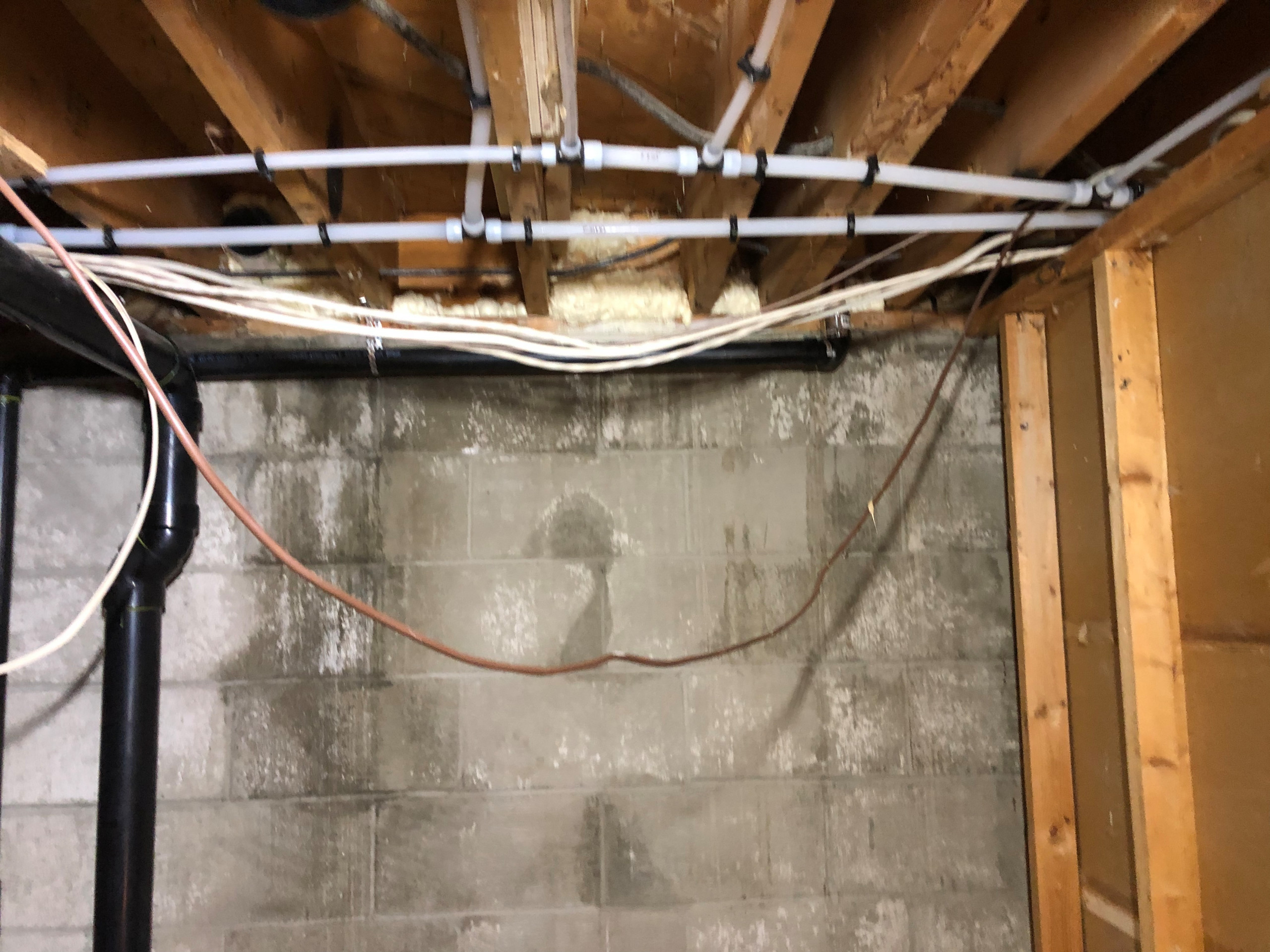 Basement bathroom 2