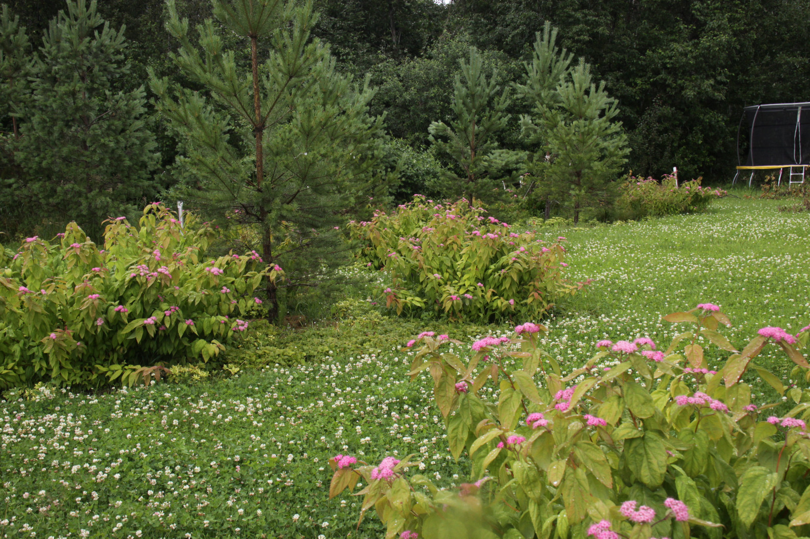 Сад "Три плюс два"