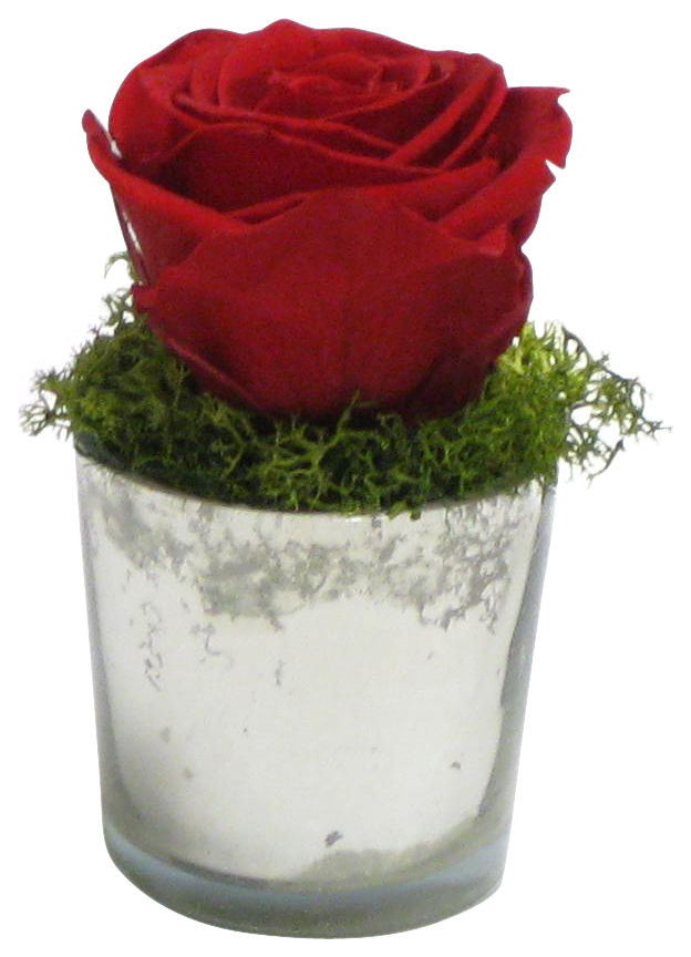 Mercury Glass Votive, Reindeer Moss and Rose Floral Arrangement