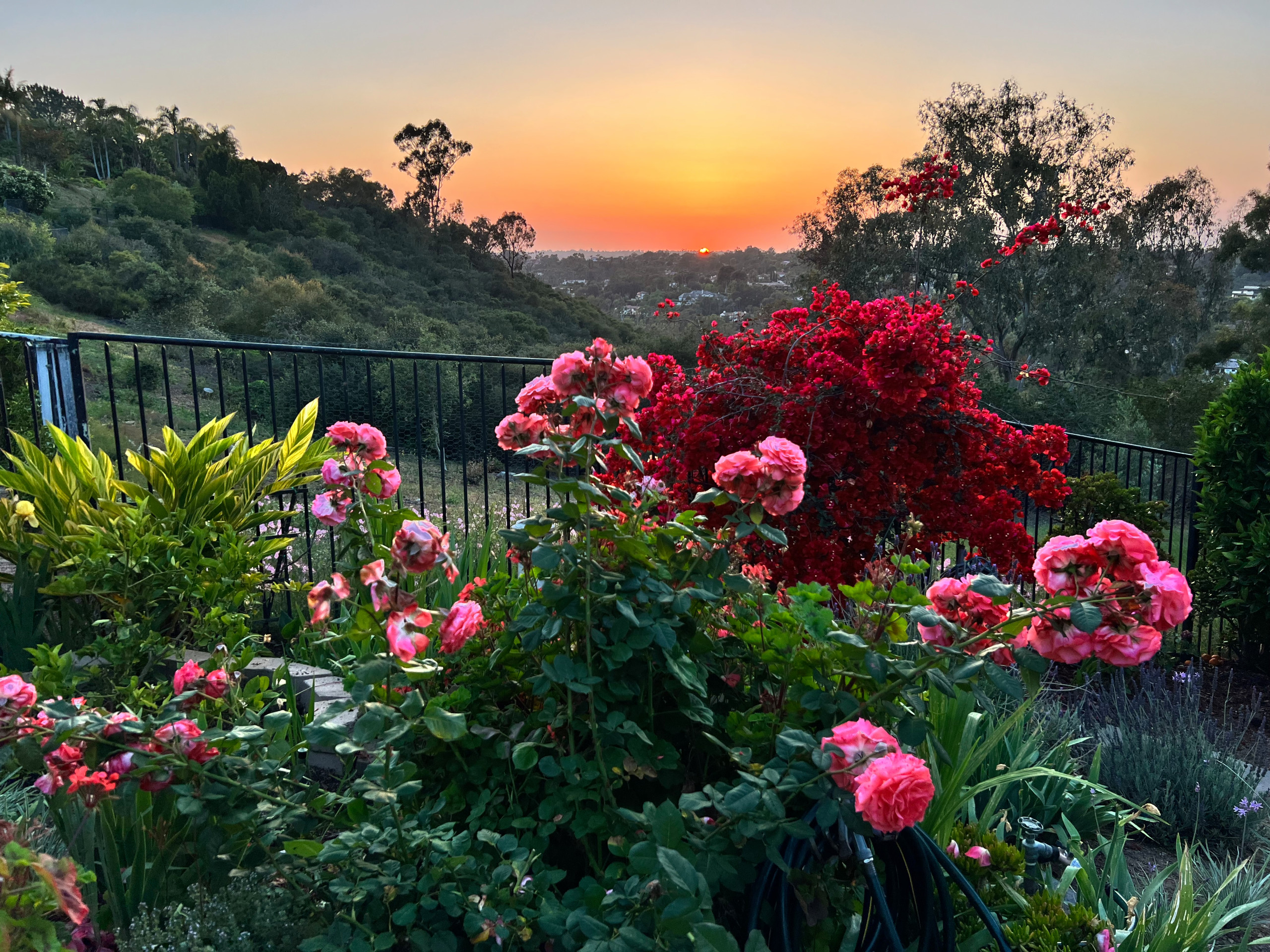 Rancho Santa Fe Retreat