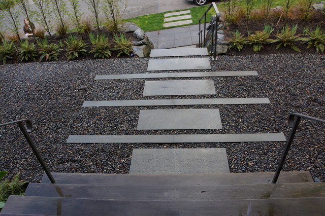 Modern Entry Courtyard minimalistisch-garten