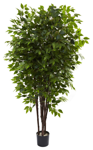 6.5' Deluxe Ficus Tree