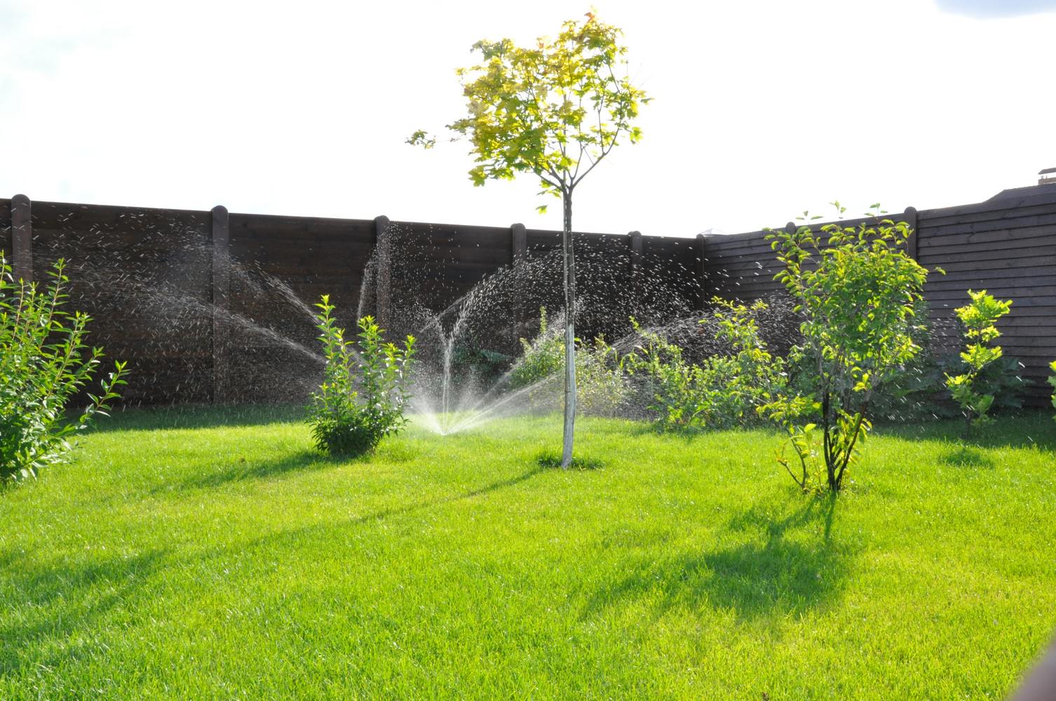 Благоустройство территории