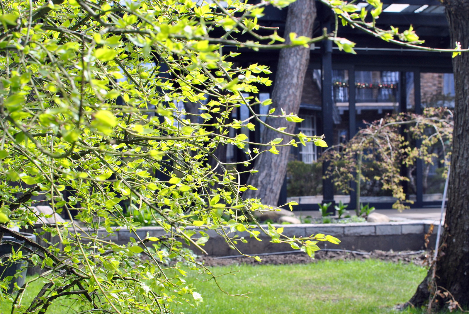 Сад с японскими интонациями.