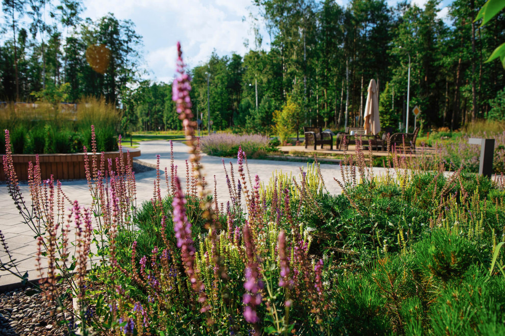 Репино парк