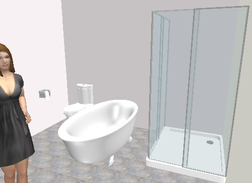 Bathroom Remodeling Project transitional-rendering