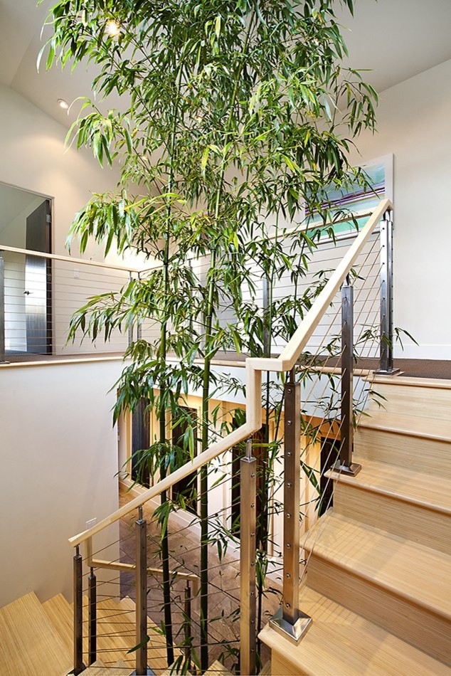 This is an example of an asian staircase in San Francisco.