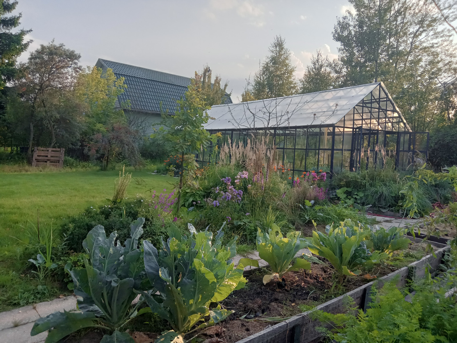 Долгое Ледово