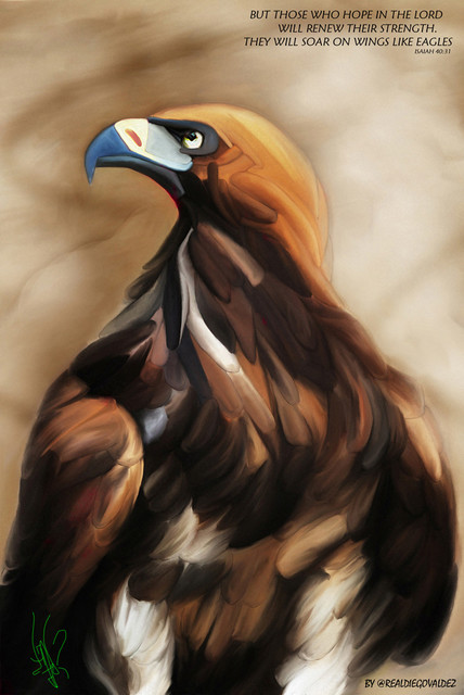 Golden Eagle 18x24