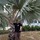 Last commented by compostworm5